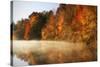 Autumn Mist IV-Alan Hausenflock-Stretched Canvas
