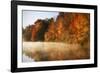 Autumn Mist IV-Alan Hausenflock-Framed Photographic Print