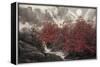 Autumn Mist-Baogui Zhang-Stretched Canvas