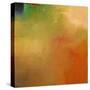 Autumn Mist-Mark Dickson-Stretched Canvas