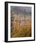 Autumn Mist-Michael Budden-Framed Giclee Print