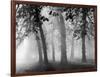 Autumn Mists a Scene Among the Trees in Abingdon Park Northampton Northamptonshire England-null-Framed Photographic Print