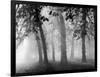 Autumn Mists a Scene Among the Trees in Abingdon Park Northampton Northamptonshire England-null-Framed Photographic Print