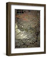 Autumn Mixture-Dorothy Berry-Lound-Framed Giclee Print