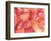 Autumn Monochrome-Neela Pushparaj-Framed Photographic Print