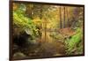 Autumn Mood, Autumnal Colouring, Ilsetal, National Park, Harz, Near Ilsenburg-Dieter Meyrl-Framed Photographic Print