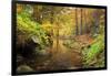 Autumn Mood, Autumnal Colouring, Ilsetal, National Park, Harz, Near Ilsenburg-Dieter Meyrl-Framed Photographic Print