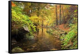 Autumn Mood, Autumnal Colouring, Ilsetal, National Park, Harz, Near Ilsenburg-Dieter Meyrl-Framed Stretched Canvas
