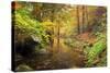 Autumn Mood, Autumnal Colouring, Ilsetal, National Park, Harz, Near Ilsenburg-Dieter Meyrl-Stretched Canvas