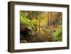 Autumn Mood, Autumnal Colouring, Ilsetal, National Park, Harz, Near Ilsenburg-Dieter Meyrl-Framed Photographic Print