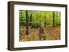 Autumn Mood in the Rural New Hampshire-Armin Mathis-Framed Photographic Print