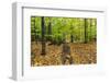 Autumn Mood in the Rural New Hampshire-Armin Mathis-Framed Photographic Print