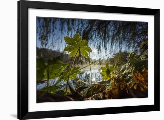 Autumn Mood on a River-Falk Hermann-Framed Photographic Print