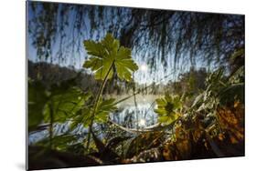 Autumn Mood on a River-Falk Hermann-Mounted Photographic Print