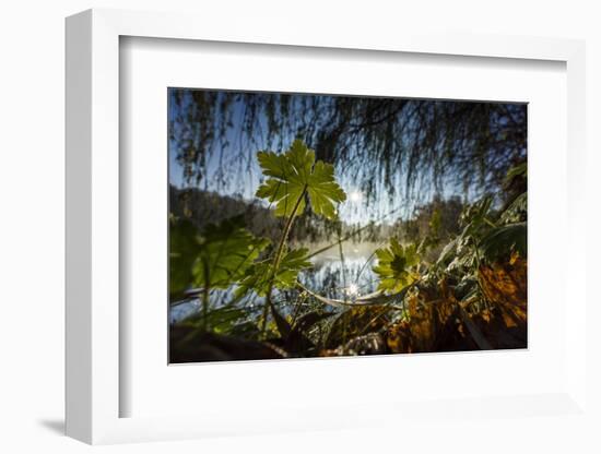 Autumn Mood on a River-Falk Hermann-Framed Photographic Print