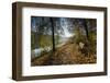 Autumn Mood on a River-Falk Hermann-Framed Photographic Print