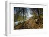 Autumn Mood on a River-Falk Hermann-Framed Photographic Print