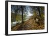 Autumn Mood on a River-Falk Hermann-Framed Photographic Print