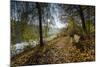 Autumn Mood on a River-Falk Hermann-Mounted Photographic Print