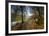 Autumn Mood on a River-Falk Hermann-Framed Photographic Print