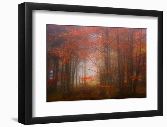 Autumn Mood-Philippe Sainte-Laudy-Framed Photographic Print