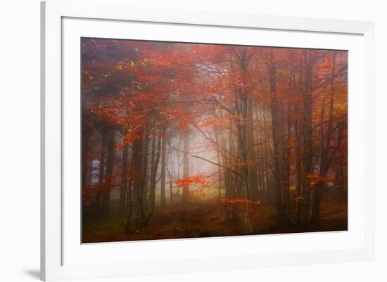 Autumn Mood-Philippe Sainte-Laudy-Framed Photographic Print