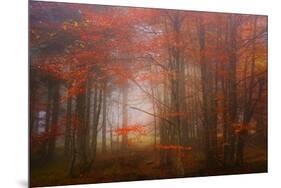 Autumn Mood-Philippe Sainte-Laudy-Mounted Photographic Print