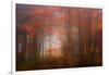 Autumn Mood-Philippe Sainte-Laudy-Framed Photographic Print