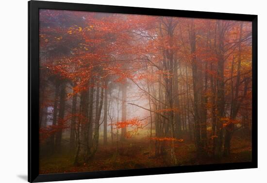 Autumn Mood-Philippe Sainte-Laudy-Framed Photographic Print