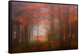 Autumn Mood-Philippe Sainte-Laudy-Framed Stretched Canvas