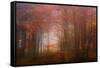 Autumn Mood-Philippe Sainte-Laudy-Framed Stretched Canvas