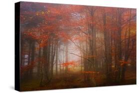 Autumn Mood-Philippe Sainte-Laudy-Stretched Canvas