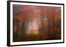 Autumn Mood-Philippe Sainte-Laudy-Framed Photographic Print