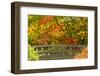 Autumn, Moon Bridge, Portland, Oregon, Usa-Michel Hersen-Framed Photographic Print