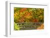 Autumn, Moon Bridge, Portland, Oregon, Usa-Michel Hersen-Framed Photographic Print