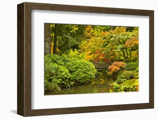 Autumn, Moon Bridge, Portland, Oregon, Usa-Michel Hersen-Framed Photographic Print