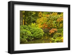 Autumn, Moon Bridge, Portland, Oregon, Usa-Michel Hersen-Framed Photographic Print