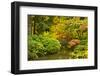 Autumn, Moon Bridge, Portland, Oregon, Usa-Michel Hersen-Framed Photographic Print