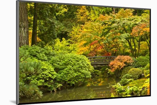 Autumn, Moon Bridge, Portland, Oregon, Usa-Michel Hersen-Mounted Photographic Print