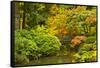 Autumn, Moon Bridge, Portland, Oregon, Usa-Michel Hersen-Framed Stretched Canvas