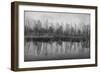 Autumn Morning and Fog on the River, the Autumn Season-Andriy Solovyov-Framed Photographic Print