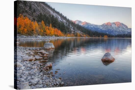 Autumn Morning at June Lake-Vincent James-Stretched Canvas