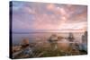 Autumn Morning at Mono Lake, Sierra Nevada-Vincent James-Stretched Canvas