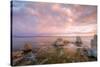 Autumn Morning at Mono Lake, Sierra Nevada-Vincent James-Stretched Canvas