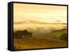 Autumn Morning Fog in Pouilly-Fuisse Vineyards, France-Lisa S. Engelbrecht-Framed Stretched Canvas