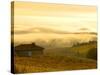 Autumn Morning Fog in Pouilly-Fuisse Vineyards, France-Lisa S. Engelbrecht-Stretched Canvas