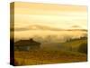 Autumn Morning Fog in Pouilly-Fuisse Vineyards, France-Lisa S. Engelbrecht-Stretched Canvas