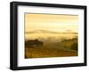 Autumn Morning Fog in Pouilly-Fuisse Vineyards, France-Lisa S. Engelbrecht-Framed Photographic Print