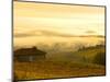 Autumn Morning Fog in Pouilly-Fuisse Vineyards, France-Lisa S. Engelbrecht-Mounted Photographic Print