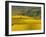 Autumn Morning in Pouilly-Fuisse Vineyards, France-Lisa S. Engelbrecht-Framed Photographic Print